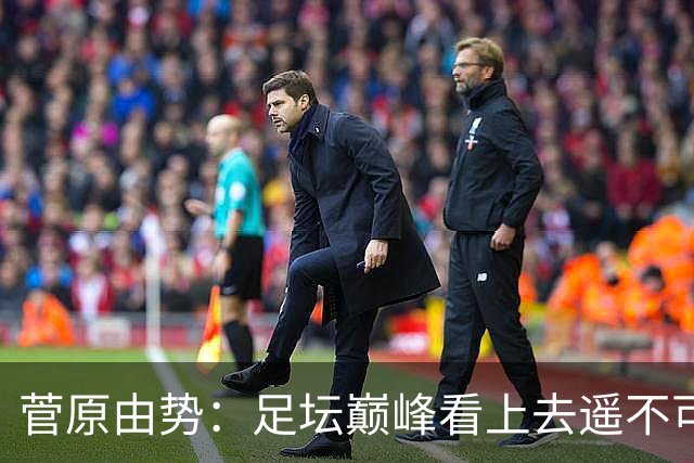 菅原由势：足坛巅峰看上去遥不可及，但如果不去追逐就永无法抵达