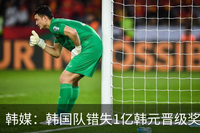 韩媒：韩国队错失1亿韩元晋级奖 但每人仍可拿8000万津贴